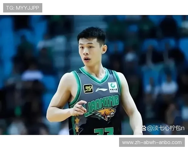 目前cba球队总数及各队基本情况