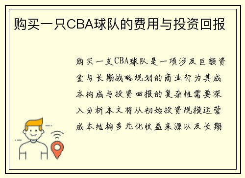 购买一只CBA球队的费用与投资回报