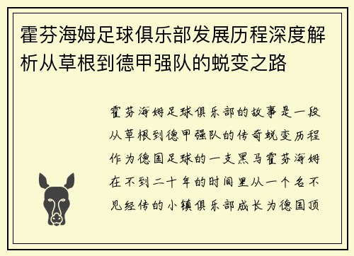 霍芬海姆足球俱乐部发展历程深度解析从草根到德甲强队的蜕变之路